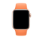 Ремінець силіконовий для Apple Watch 38/40/41 AAA+, Зелений (Помаранчевий)